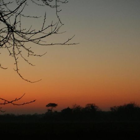 Gite Le Coucher De Soleil Plessé Eksteriør billede