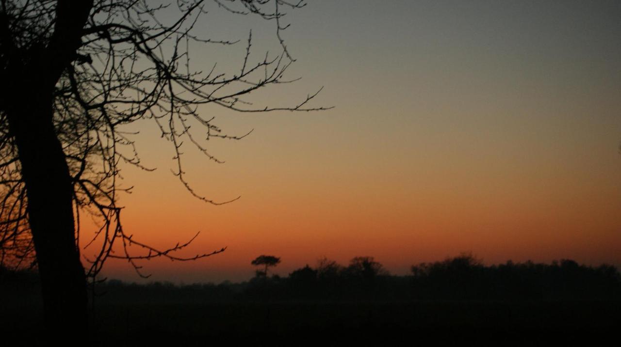 Gite Le Coucher De Soleil Plessé Eksteriør billede